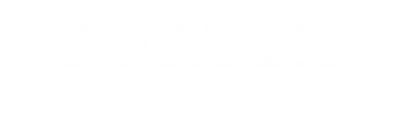 Bortex logo